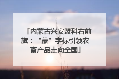 内蒙古兴安盟科右前旗：“蒙”字标引领农畜产品走向全国